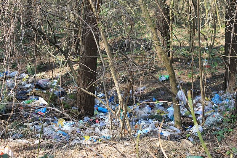 Відпочинок на природі: що робити зі сміттям - 2